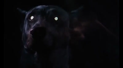 Dracula Dog 1978