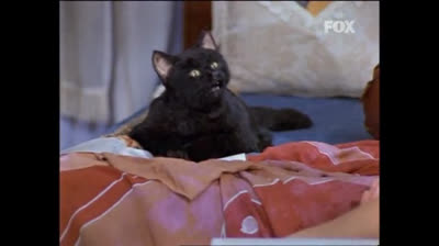 Sabrina Vita Da Strega 02x06 Un Ragazzo di Nome Sabrina