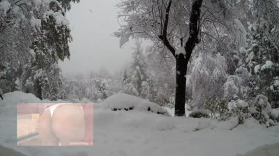 inverno Neve caindo