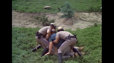 CHiPs - 1x08 - Il ladro dal pollice verde