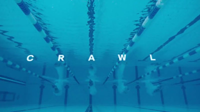 Crawl_2019