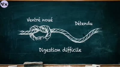 Le pouvoir du nerf vague