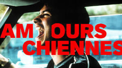 amours chiennes(Amores Perros)(2000)