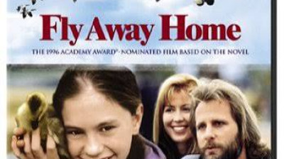 l'envolee sauvage(Fly Away Home)(1997)