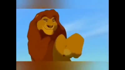 The cat's new groove