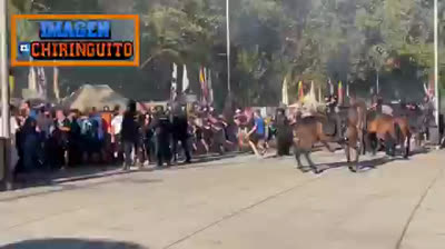 A ver, así habría que echar a los INVASORES DE CEUTA ??