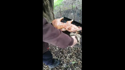 LECHON AL HORNO PORTATIL A LEÑA