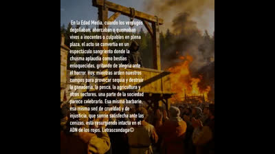 Citas