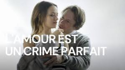 l'amour est un crime parfait (2014)