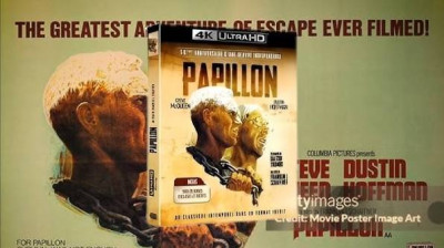 papillon (1973)