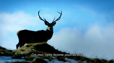 04 Pour la Saison 8 attendre Octobre