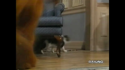 Alf - 2x10 - La seconda luna di miele