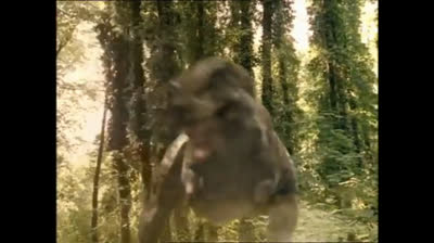 Dinotopia o filme