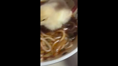 ¡Hice Fideos Con Pollo Y Ahora No Quiero Comerlos! ??