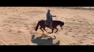 Rambo até o fim dublado