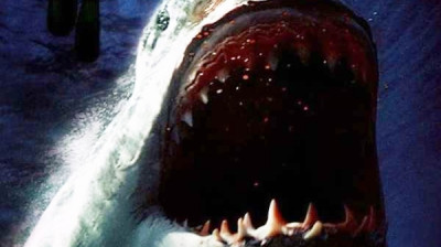 Tubarões Assassinos (2005) Filme Completo e Dublado
