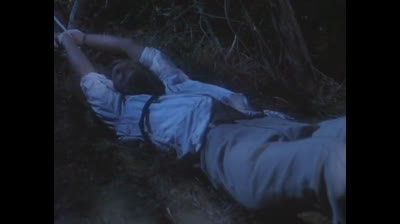Terror Night aka Bloody Movie