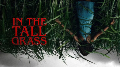In the Tall Grass