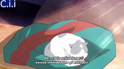 the cat and the dragon anime ep 8 subtitrare anime romana