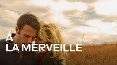 a la merveille (2013)