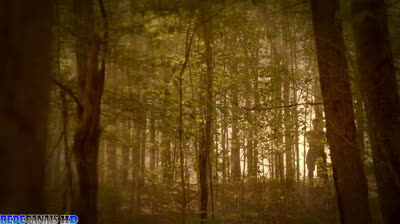 The Originals Dublado HD Temporada 2 EP 3