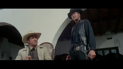 the renegade gunfighter
