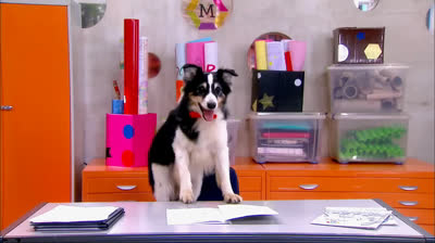A Novela O Carrossel No SBT Da Recado Para As Crianças Ep 6