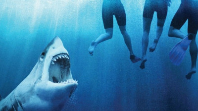 Perigo em Alto Mar ⭐ Filme Dublado