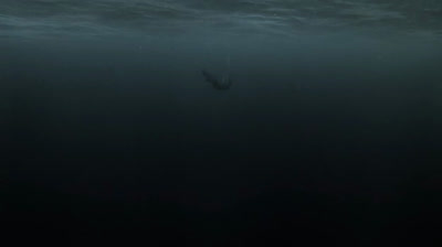 Viking Saison 1 épisode 1