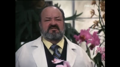 Nero Wolfe 11 Death and the Dolls