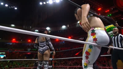 Kris Statlander vs. Persephone - AEW Grand Slam Mexico (2026-08-05)