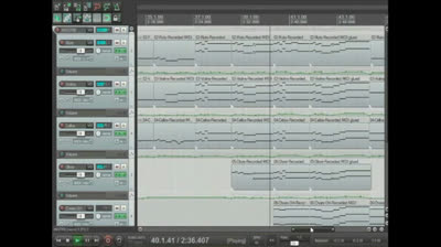 “escute isso”  Essa música dói… mas é linda demais FLP in company of birds