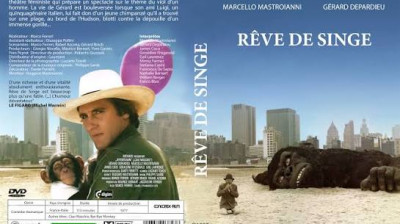 reve de singe (1978)