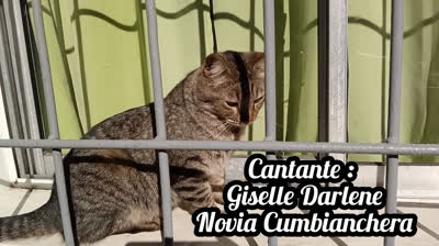 EN TUS BRAZOS  (CUMBIA)