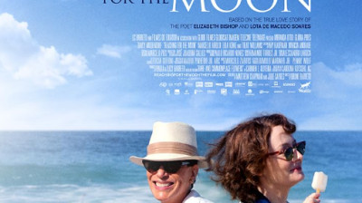 Reaching for the Moon (2013)