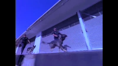 Renegade - 4x03. La ballata di D.B. Cooper