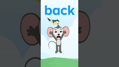 Back