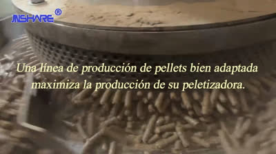 Una línea de producción de pellets bien adaptada maximiza la producción de su peletizadora