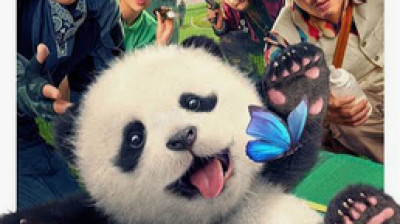 Panda Plan
