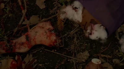 AHS ROANOKE T6E03