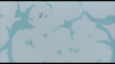 P0K3M0N: 0 P0D3R D3 UM (D U B)