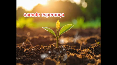 Esperando