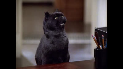 Sabrina Vita Da Strega 3x21 La Televisione Delle Streghe.