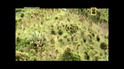 Verdade ou mito-o homem macaco de sumatra